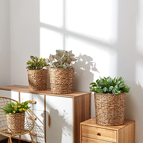 Indoor Plastic Lined Plant Holders | Set of 4