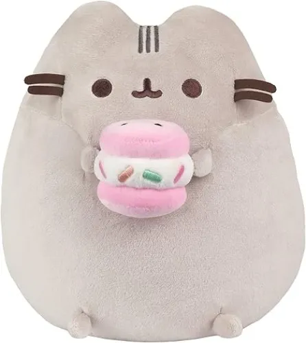 Pusheen holding icecream cookiee