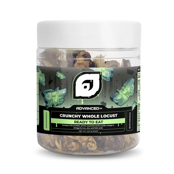 Crunchy Whole Locust