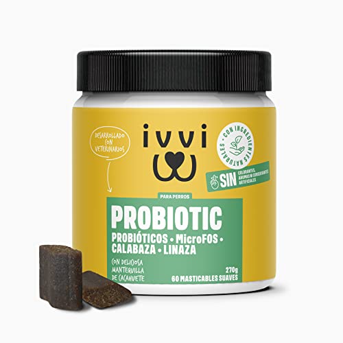 ivvi - Probiotic- Complemento Alimenticio para Perros Bienestar Digestivo – Probióticos, Calabaza, Avena, Semillas de Lino y Calabaza - 60 Deliciosas Golosinas Vegetarianas, 270g