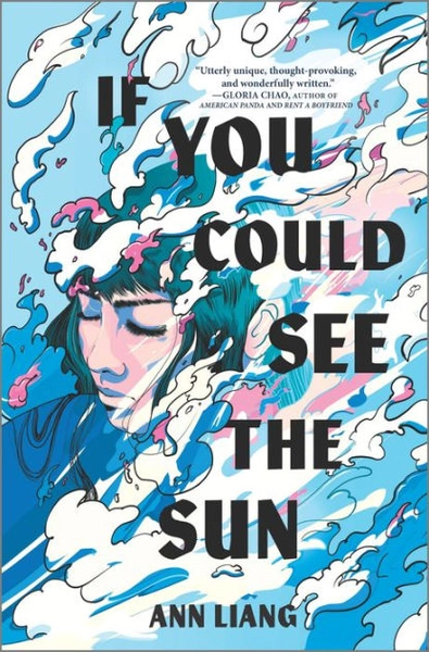 If You Could See the Sun|Paperback