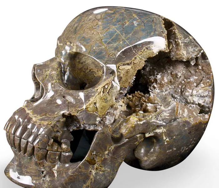 Skullis 3.5-23.6" Dinosaur Egg Agate Crystal Skull,Super Realistic, Hand Carved Gemstone Fine Art Sculpture, Reiki Healing Stone Statue.