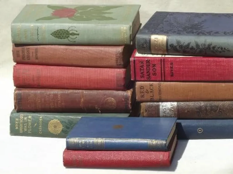 Book Bundle Random Books Reading Surprise Books Reading Mixed Media Stack of Books Mystery Book Bundle Antique Collectible Vintage Books