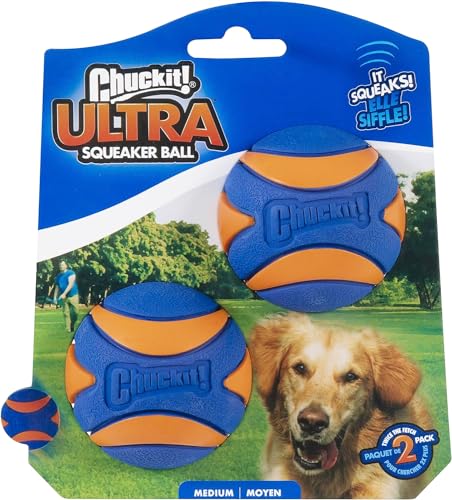 Chuckit! Ultra Squeaker Ball Dog Toy for Medium Breeds - Bouncy Squeaky Fetch Balls for Dogs - Floating Water Pet Toys - Durable Rubber - Size Medium - 2.5" Diameter - Pack of 2 - Medium (2 Pack) - Squeaker