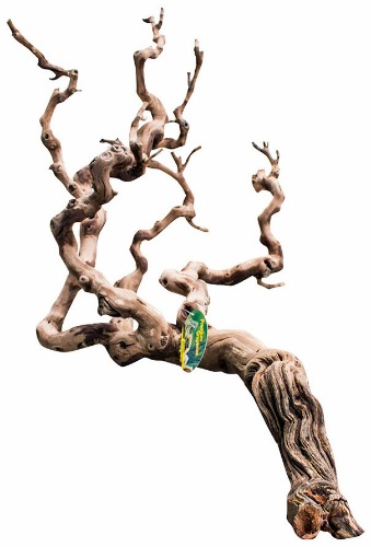 Lucky Reptile Premium Grapevine Large | Reptile