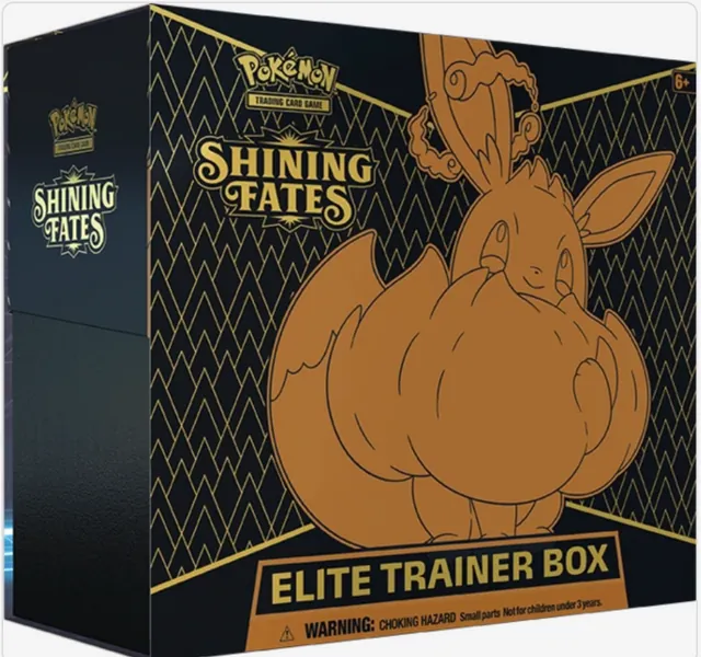 Shining Fates Elite Trainer Box