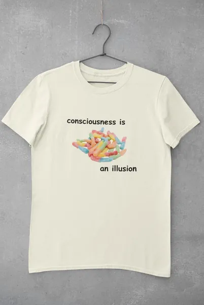 Consciousness is an Illusion 