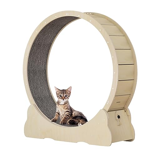 Homegroove Cat Wheels for Indoor Cat, Cat Running Wheel with Carpeted Runway, Cat Sport Treadmill Exercise Wheel for Kitty’s Longer Life, Fitness Weight Loss Device, 37" H Natural Wood Color(S) - S - Natural Wood