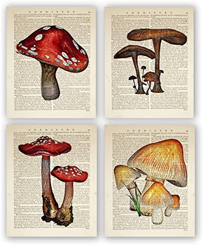 Vintage Mushroom Poster,Retro Aesthetic Poster,Mushroom Wall Decor, Mushroom Wall Decor,Kindergarten Classroom Poster Wall Decor ,Retro Cottagecore Wall Decor Paintings for Bathroom Bedroom ,Set of 4 (Unframed 8X10 Inch)