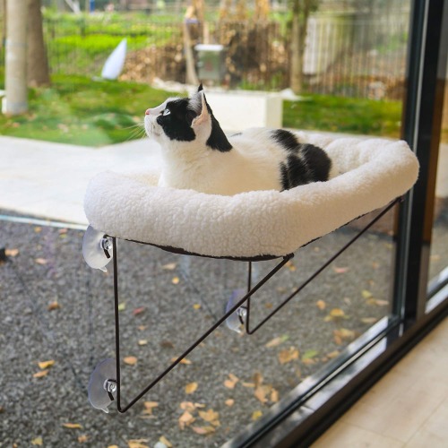 Zakkart Cat Window Perch - 100% Metal Supported from Below - Comes with Warm Spacious Pet Bed - Cat Window Hammock for Large Cats & Kittens - for Sunbathing, Napping & Overlooking (White) - White