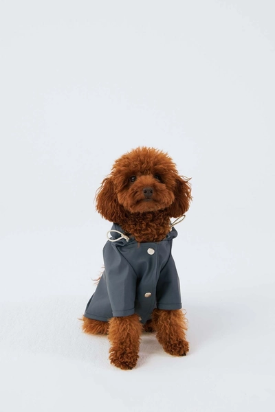 Dog Raincoat with Hood - Water Resistant - Navy