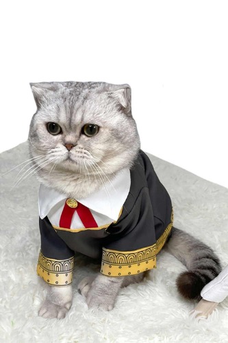 brehiay Cats Spy x Family Cosplay Funny Pet Clothes Anya Forger Costume Shirt for Cats Pets Halloween Costume - One Size One Piece