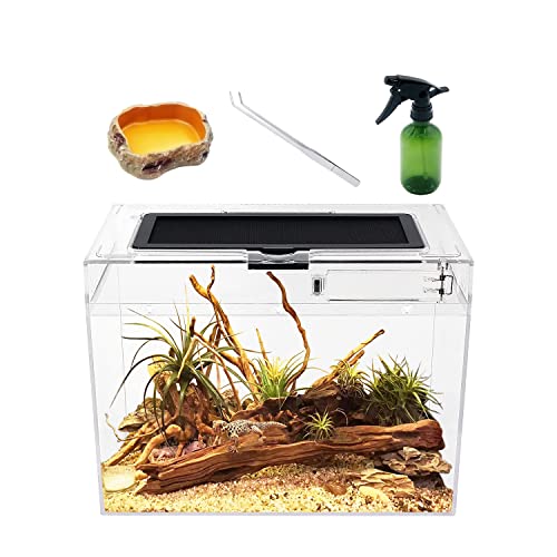 Reptile Growth Mini reptile tank,12" x 7"x 9" vivarium with Top Sliding Door Screen Ventilation for Small Fish,Insect,Snail,Gecko,Tarantula,Bearded Dragon,Jumping Spider,Stick Insect,Praying Mantis - transparent - 12 x 7 x 9 Inch
