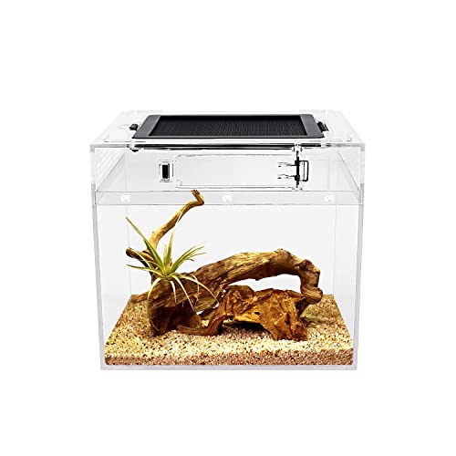 Reptile Growth Mini reptile tank,8" x 8"x 8" vivarium with Top Sliding Door Screen Ventilation for Small Fish,Insect,Snail,Gecko，Tarantula,Bearded Dragon,Jumping Spider,Stick Insect,Praying Mantis - transparent - 8 x 8 x 8 Inch