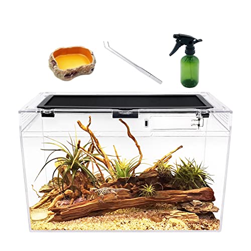 Reptile Growth Reptile tank,16" x 8"x 10" vivarium with Top Sliding Door Screen Ventilation for Small Fish,Insect,Snail,Gecko,Tarantula,Bearded Dragon,Jumping Spider,Stick Insect,Praying Mantis - transparent - 16 x 8 x 10 Inch