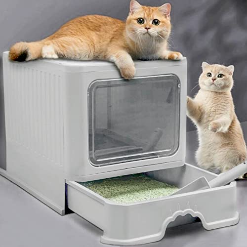 Cat Litter Box with Lid,Ascotsun Covered Cat Litter Box,Litter Box with Door,Foldable Enclosed Litter Box,Anti-Splash Kitty Litter Box,with Scoop Easy to Clean Litter Pan(Upgrade,Grey)