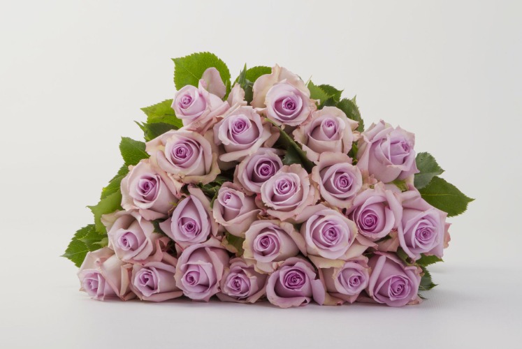 Lavender Rose Bouquet - Two Dozen
