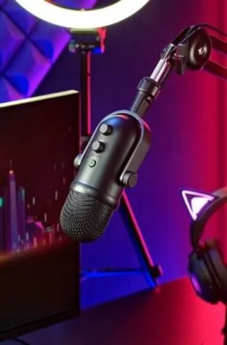 Microphone