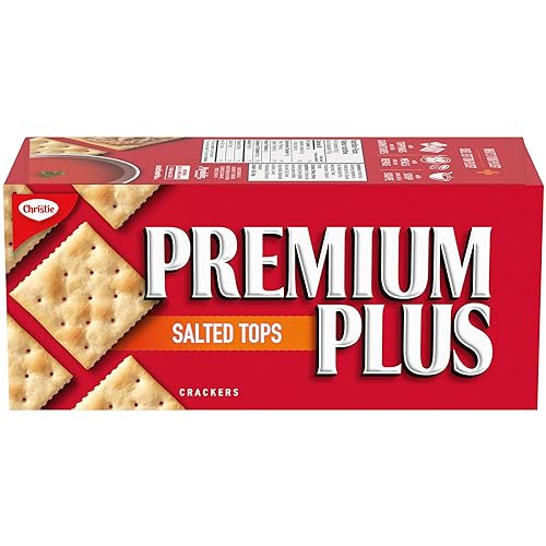Premium Plus Salted Cracker, 450g - Salted - 450 g (Pack of 1)