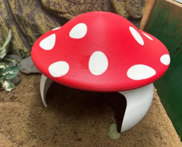 Large Mushroom Tortoise Hide