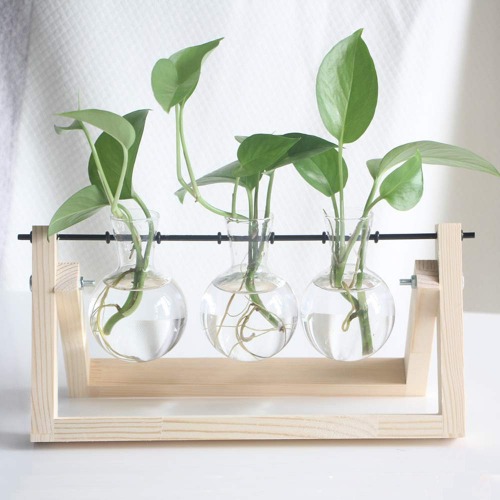 Baby plant holder 2