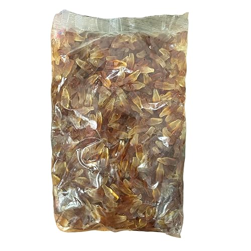 Halal Cola Bottles Gummy Candy, Delicious Halal 5lb Bulk Candy Bag, Tasty Halal Gummies & Candy Gift for All Occasions, Party Size
