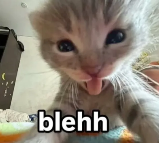 hiromi art in uma musume style~