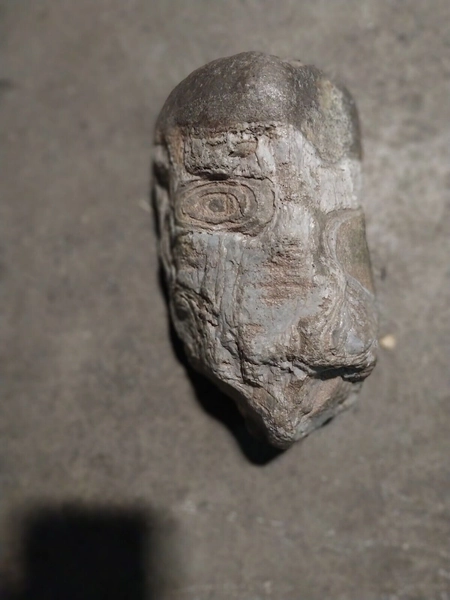 Fossilized Alien Head