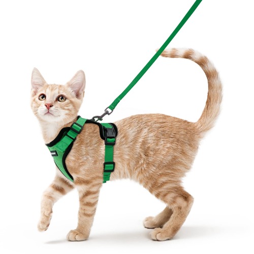 rabbitgoo Cat Harness and Leash for Walking, Escape Proof Soft Adjustable Vest Harnesses for Cats, Easy Control Breathable Reflective Strips Jacket, S, Grass Green - S Grass Green