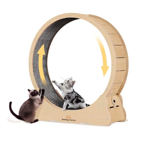 Homegroove Cat Wheel,52 inch XXL Large Cat Wheels for Indoor Cats with Carpeted Runway, Cat Exercise Wheel Treadmill for Kitty’s Longer Life, Fitness Weight Loss Device (XXL, Natural Wood) - XXL - Natural Wood