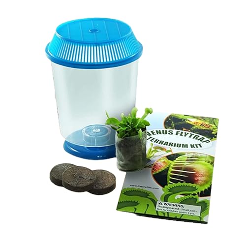 Live Venus Flytrap Plant Kit in 4.5" Terrarium + Carnivorous Plant Food Bundle with Dried Fly Larvae and Feeding Tweezers - Educational Indoor Plant - Blue Lid+Food+Tweezers