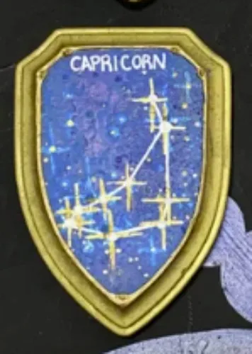 Astrology Wall Shields