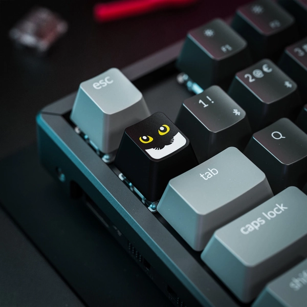 Maxwell Cat Uni Meme Artisan Key Cap Cherry MX Gateron Kailh Razer Mechanical Keyboard R4 / R1 Top Row OEM Profile Doubleshot Keycap