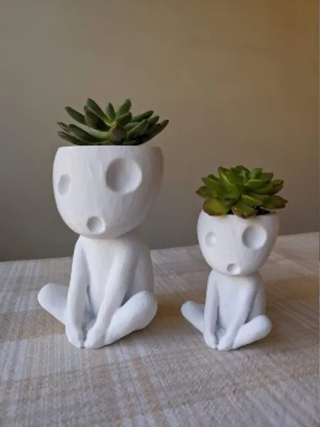 Kodama Planter Pot for Succulents Air Plants  Other Plants  | Etsy