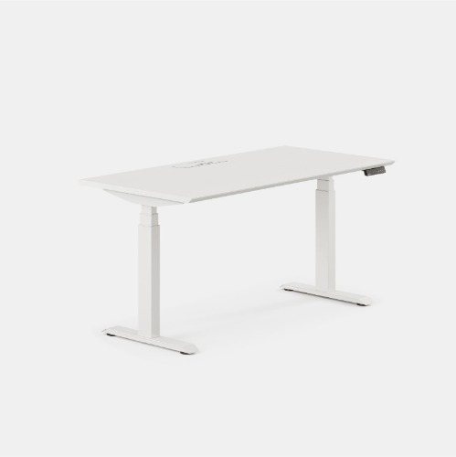 Standing Desk - White / White / 60 inches x 30 inches
