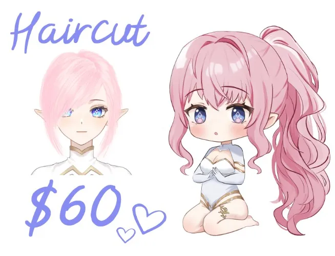$60 for a Haircut