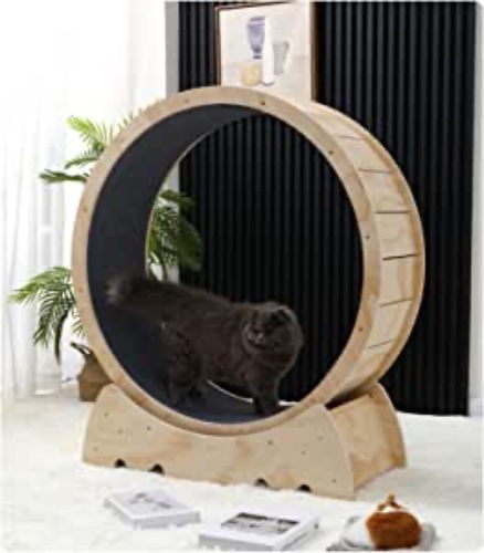 LCTTLLY Cat Exercise Wheel – Running, Spinning, and Scratching Fun, Cat Treadmill with Carpeted Runway, Kitty Cat Sport Toy, Great for Physical Activity and Reducing Boredom