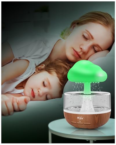 Weljoy Zen Raining Cloud Night Light Aromatherapy Essential Oil Diffuser Micro Humidifier Desk Fountain Bedside Sleeping Relaxing Mood Water Drop Sound (White)