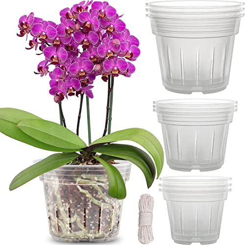 Orchid Pot