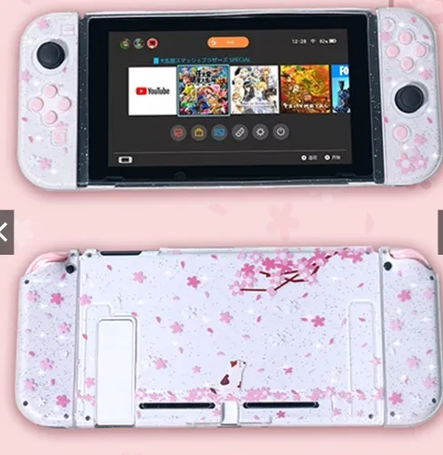 Nintendo switch case