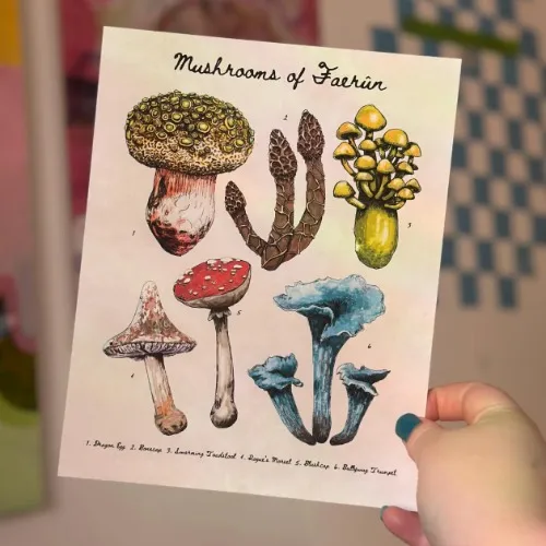 Baldur's Gate 3 Mushrooms Print