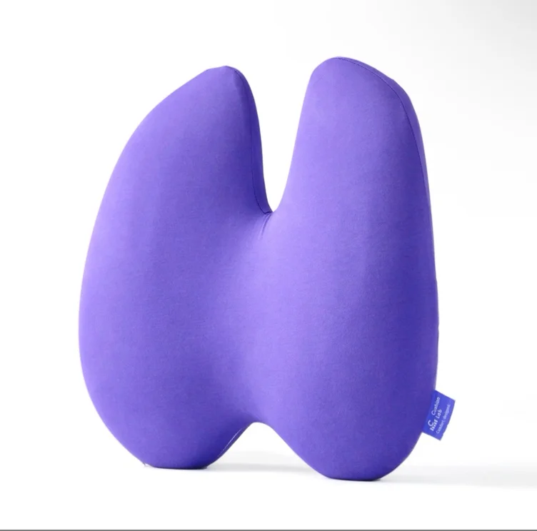 Back Relief Lumbar Pillow