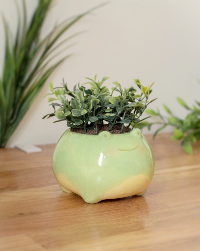 Frog planter