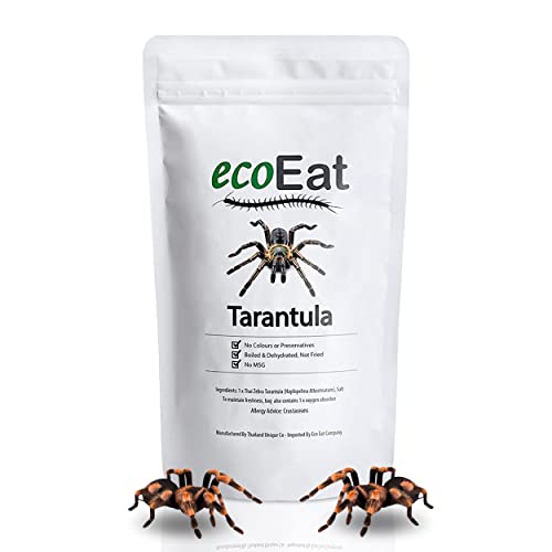 ecoEat Edible Tarantula Spider - 100% Edible Bug Edible Dehydrated Zebra Tarantula Insect - Snack Food Gift