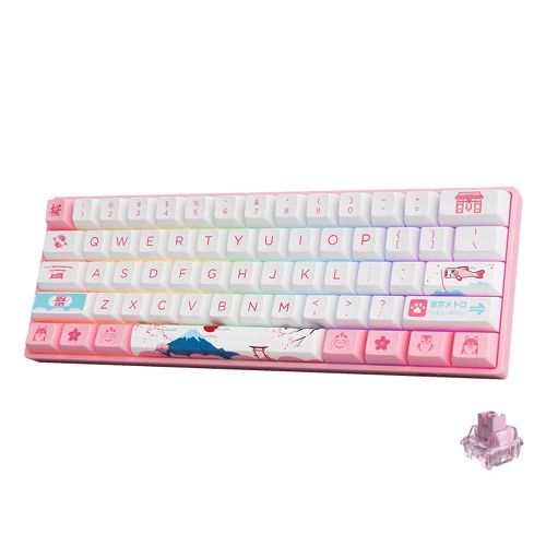 Akko 3061S Tokyo RGB Mechanical Gaming Keyboard 100% Anti-Ghosting with Hot-Swap, Programmable, PBT Dye-Sub OSA Profile Keycaps, Compact Game Keyboard for PC (Jelly Pink Switch)