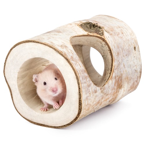 Niteangel Hamster Hideout Tree Trunk Tunnel for Dwarf Syrian Hamsters Gerbils and Small Animals (Large Tunnel - for Syrian)