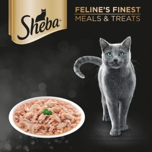 SHEBA Wet Cat Food (24-Pack), 70g. (1 box)
