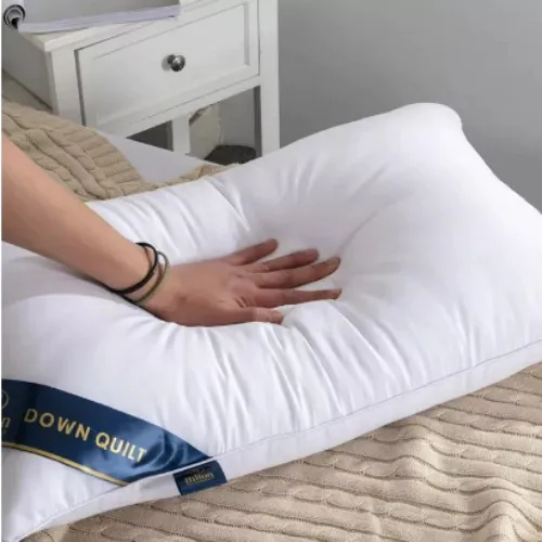 B1T1 Pillows