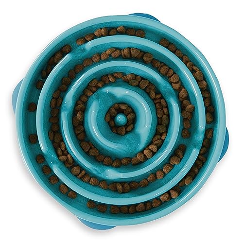 Outward Hound Fun Feeder Slo Bowl, Slow Feeder Dog Bowl, Large/Regular, Turquoise - Large - Turquoise