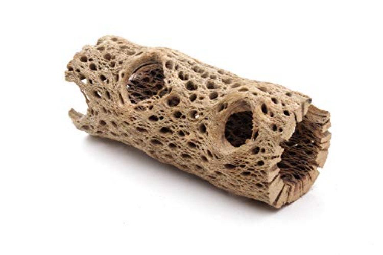 My Pet Patrol 3 to 48 Inch All Natural Teddy Bear Cholla Wood Extra Hollow Large Untreated Organic Aquarium Driftwood Decoration Chew Toy Shrimp Crab Multi-Quantity - 1 Piece, 6 inch
